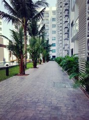 Garden &walkway
