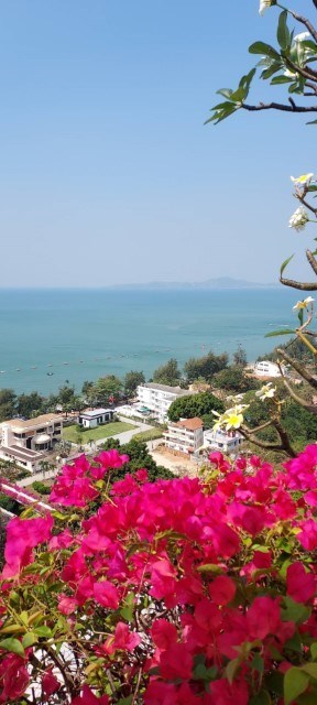 Jomtien Condotel Condominium